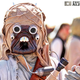 Illustration for article titled Happy Star Wars Day From Foxtrot Alpha